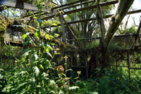 Dian Fossey Memorial
